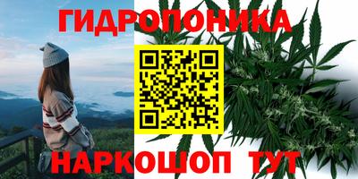 дмт Абакан